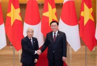 Lawmakers support upgrading of Vietnam-Japan relations 