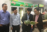 Hanoi and localities promote supply of safe farm products