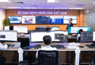 Vietnam’s commodity market remains attractive investment channels: Expert