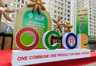 Hanoi accelerates OCOP consumption citywide 