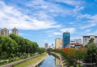 Red blossoms light up Hanoi's river