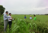 Australia’s support helps Vietnam promote sustainable agriculture  