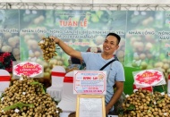 Longan and Farm Produce Week underway in Hanoi