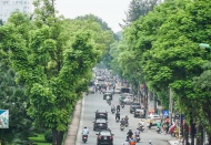 Shade trees needed to enhance Hanoi’s urban identity and biodiversity