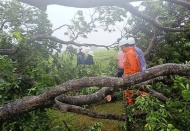 EVNHANOI to maintain power supply during super typhoon 