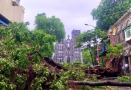 Hanoi mayor urges post-storm recovery efforts 