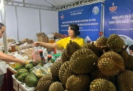 Connecting agricultural production and consumption networks in Hanoi 