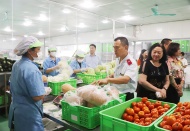 Hanoi intensifies check of agricultural and food quality