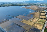 Hanoi supports farmers affected by Typhoon Yagi