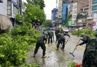 Hanoi to have no overlap between greenery and underground infrastructure 