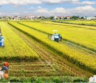 Institutional barriers restrict development of Vietnam farmland market