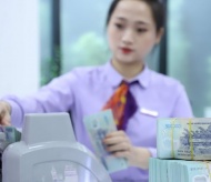 Vietnam’s credit growth slows down amid strong GDP expansion 