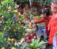 Tet in a Hanoi family: Out with the old, in with the new