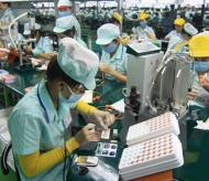 FDI inflow to Vietnam sees good year ahead