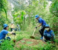 Vietnam needs US$111 billion investment in SDGs by 2030: StanChart