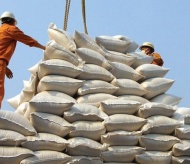 Vietnam trade ministry proposes resuming rice export