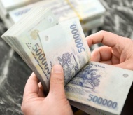 Vietnam rolls out fiscal relief package 