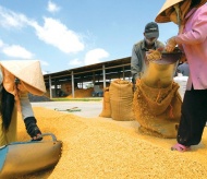 Vietnam PM agrees to resume rice export in April