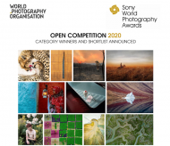 Vietnamese photographers shortlisted at Sony World Photography Awards 2020