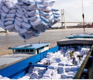 Vietnam gov’t handles irregularities in rice export management