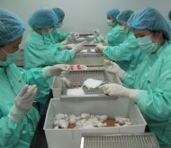 Vietnam to test the second batch of Covid-19 vaccine on mice