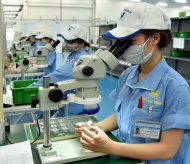 Specific criteria needed for Vietnam to attract FDI into priority areas