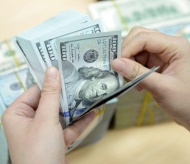 Vietnam's foreign borrowings jump 1.6-fold to US$533 million in H1