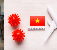 Reopening international flights during Covid-19: a new real-time big data dashboard applied to Vietnam