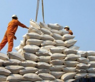 Improved quality and higher demand boost Vietnam rice export outlook