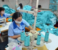 Finalization of legal framework needed to accelerate SOE privatization: Vietnam DPM