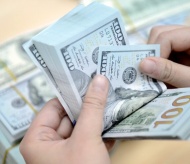 USD/VND rate expected to remain stable until year-end