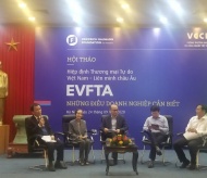 EVFTA to help realize Vietnam's high-income status ambition: Expert