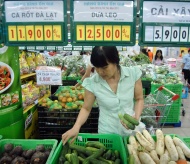 Vietnam inflationary pressures predicted to remain weak in 2020 – 2021