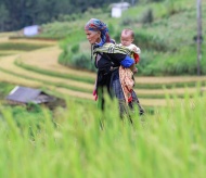 Vietnam’s rice terraces listed among 50 most beautiful places in 2020