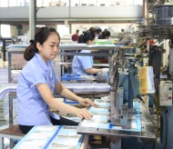 Vietnam gov’t stays firm on GDP growth target of 2.5 – 3% in 2020