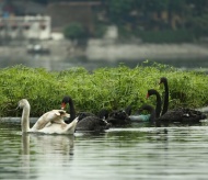 Thien Quang lake - Buddha’s halo 