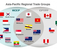 RCEP: Regional free trade pact with profound impacts on the world