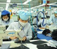 Business formations in Vietnam rise 7.3% m/m in November