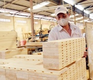 Vietnam timber export makes record this year