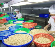 Eurasia remains untapped market for Vietnam exports