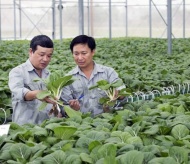 Vietnam needs more hi-tech farming to boost economy