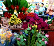 A busy night at Quang Ba flower market