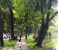 Bach Thao Park - the green lung of Hanoi 