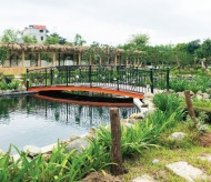 Phu Dong commune urbanized to be an eco-tourism site 