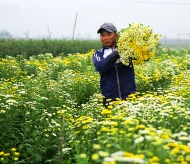 Enjoying fresh air in flower village outside Hanoi