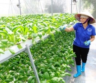 Hanoi agriculture strives to grow at least 3% this year