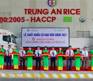 Vietnam ships first batch of rice in 2021