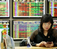 Vietnam stock market watchdog addresses overload issue