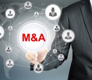 Vietnam M&A activity in strong position for recovery in 2021: PwC