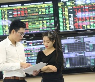 Liquidity soars to record high in Vietnam stock market in January